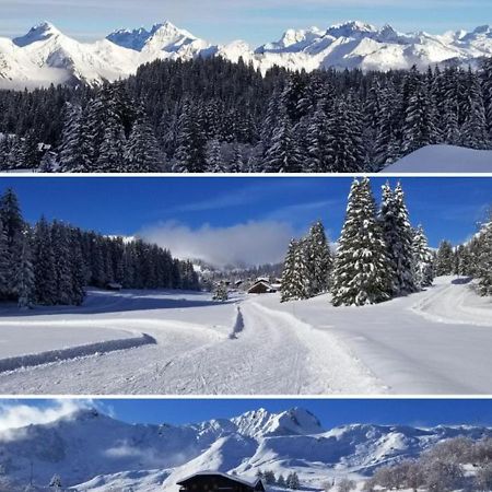 Studio Cabine Praz De Lys Taninges Buitenkant foto
