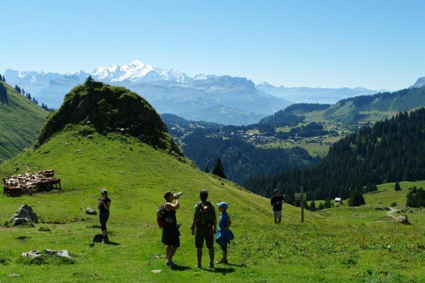 Studio Cabine Praz De Lys Taninges Buitenkant foto