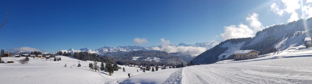 Studio Cabine Praz De Lys Taninges Buitenkant foto