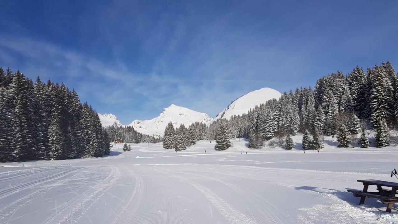 Studio Cabine Praz De Lys Taninges Buitenkant foto