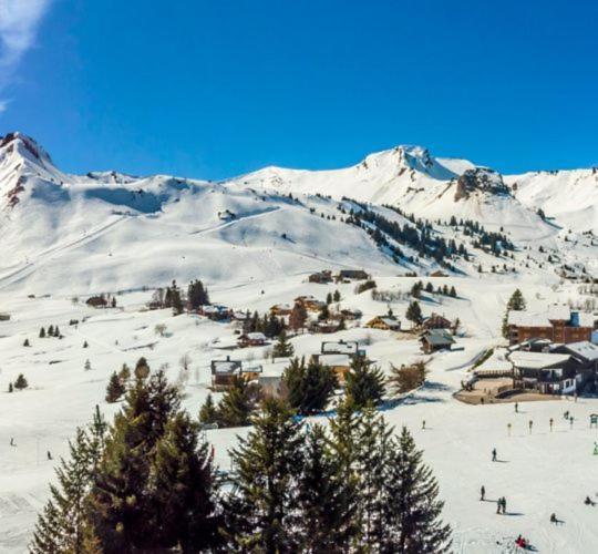 Studio Cabine Praz De Lys Taninges Buitenkant foto