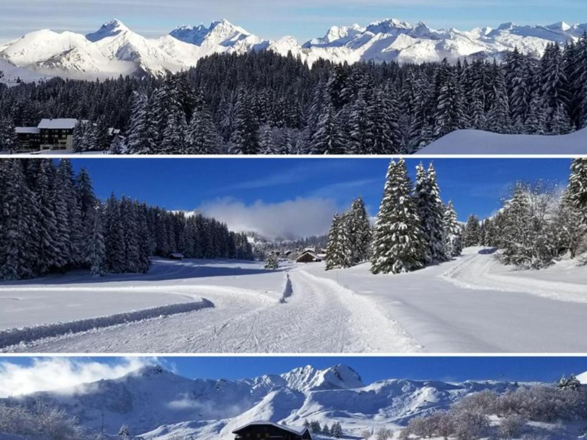 Studio Cabine Praz De Lys Taninges Buitenkant foto