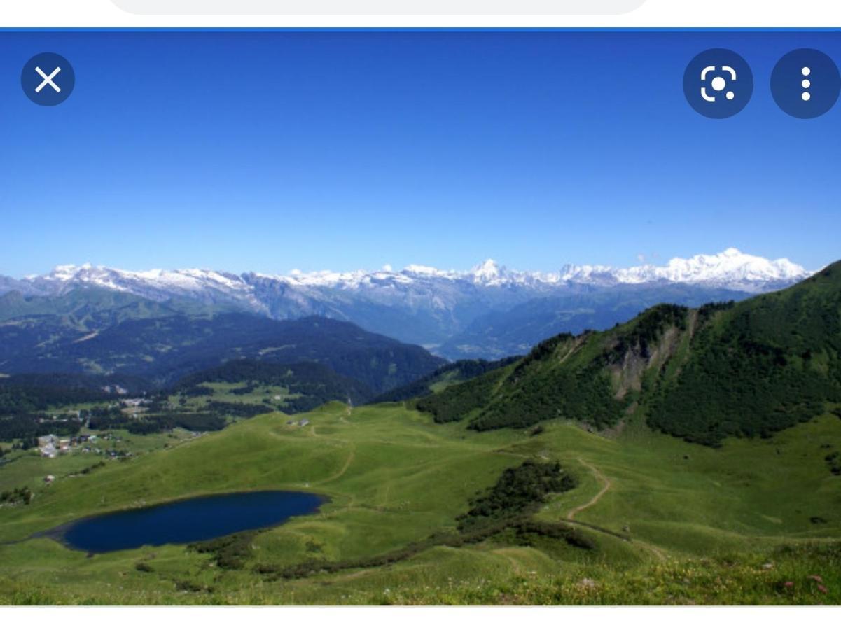 Studio Cabine Praz De Lys Taninges Buitenkant foto