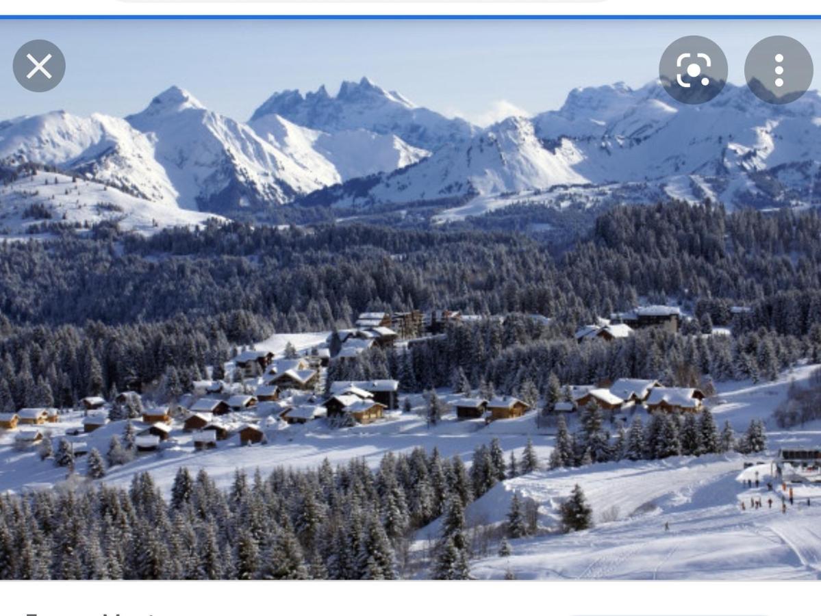 Studio Cabine Praz De Lys Taninges Buitenkant foto