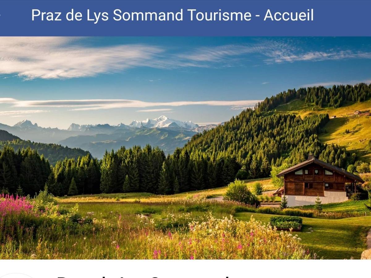 Studio Cabine Praz De Lys Taninges Buitenkant foto